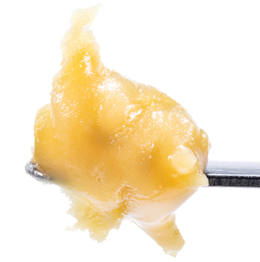 WCC | Live Rosin Badder | Tier 4 | Papaya | 1g