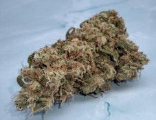 Papaya Melonz #7 - Flower - Heavenly Buds - 7g