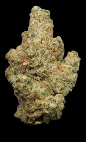 Papaya Punch x Gnut - Flower