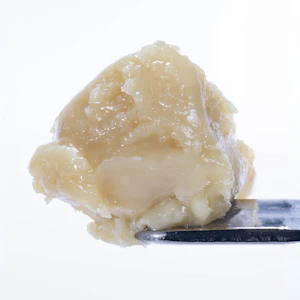 WEST COAST CURE - Banana Punch 72.86% THC | WCC | Tier 2 Live Rosin Cold Cure Badder 1g