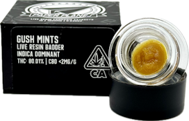 Gush Mints 1g Live Resin Badder - Paper Planes