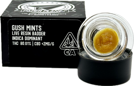 Paper Planes - Gush Mints 1g Live Resin Badder - Paper Planes