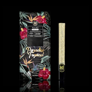 Maven - Maven 1.9g Paradiso Tropical Rosin Infused Pre-Roll