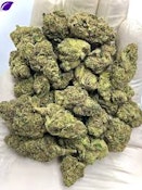 Flower | 3.5g | H | Elektra Ice, Paradiso Gardens