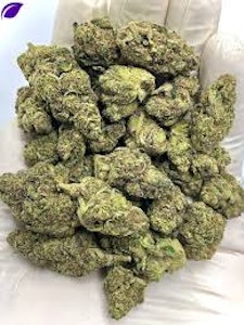 Paradiso Gardens - Flower | 3.5g | H | Elektra Ice, Paradiso Gardens