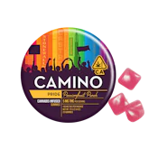 Passionfruit Punch | Camino Gummies 100mg | Kiva