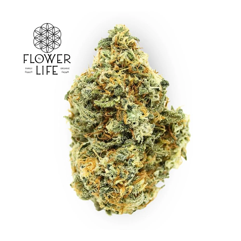 Flower of Life - OK - Peach Rings Bulk Flower - FLOWER OF LIFE Main Image