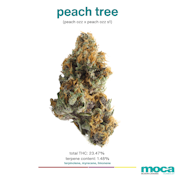 MOCA Flowers - Smalls 1/4 Bag - Peach Tree