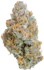 Product Preview Image 1