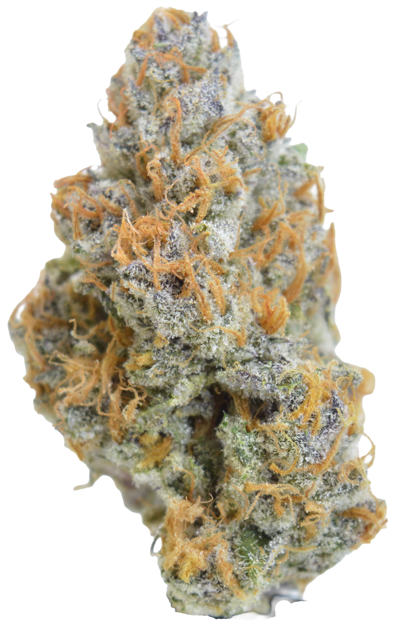 MOCA Flowers - MOCA Flowers - 1/2oz Jar - Peach Tree Main Image