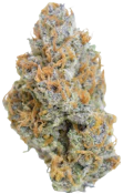 MOCA Flowers - 1G Smalls - Peach Tree