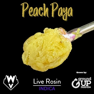 WILLAMETTE VALLEY ALCHEMY - Peach Paya, Live Rosin