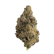 Peachez | Purple Garlicane 