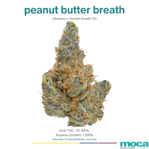 MOCA Flowers - MOCA Flowers - 1/8th Mylar Bag - Peanut Butter Breath