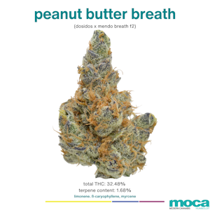 MOCA Flowers - MOCA Flowers - Smalls 1/4 Bag - Peanut Butter Breath