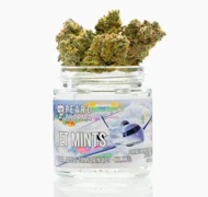 Pearl Pharma 3.5g Jet Mints