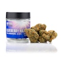 Pearl Pharma - 3.5g - Blueberry Haze 