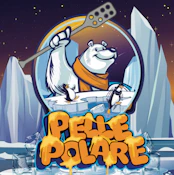 Pelle Polare- Rainbow Unicorn 2g Full Term Hashish Coin