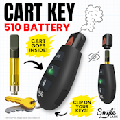 SMYLE LABS | PENJAMIN CAR KEY BATTERY | ACCESSORIES
