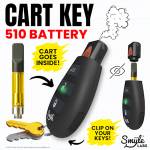 SMYLE LABS - SMYLE LABS | PENJAMIN CAR KEY BATTERY | ACCESSORIES