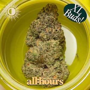 ALL HOURS - all:hours Permanent Marker 4844