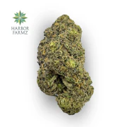 Permanent Marker Bulk Flower - HARBOR FARMZ