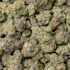 Product Preview Image 2