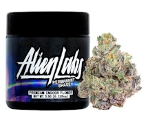 Alien Labs Permanent Shade 1/8 30%