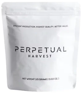 Perpetual - Jigglers Flower - 3.5g - GCC