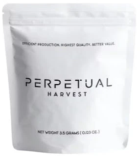 Perpetual - Space Guava PreGround - 7g - GCC Main Image