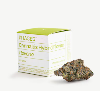 PHASES - Phases - 3.5g - Reverie - Gorilla Cookies