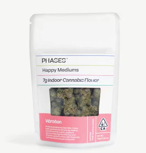 Phases | Vibration | Blueberry Parfait | Indoor Flower | 1/4oz
