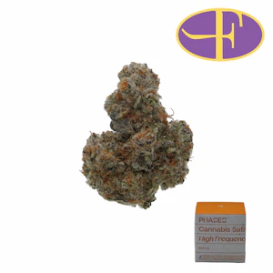 PHASES - Electric Colada