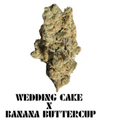 Green Paradise - Wedding Cake x Banana Buttercup Deli Flower