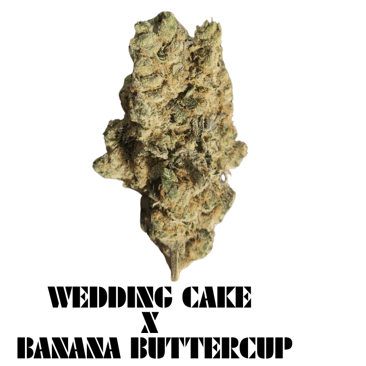Green Paradise - Green Paradise - Wedding Cake x Banana Buttercup Deli Flower Main Image