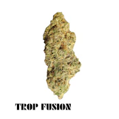 BSD Specialty Farms - Tropical Fusion Deli Flower