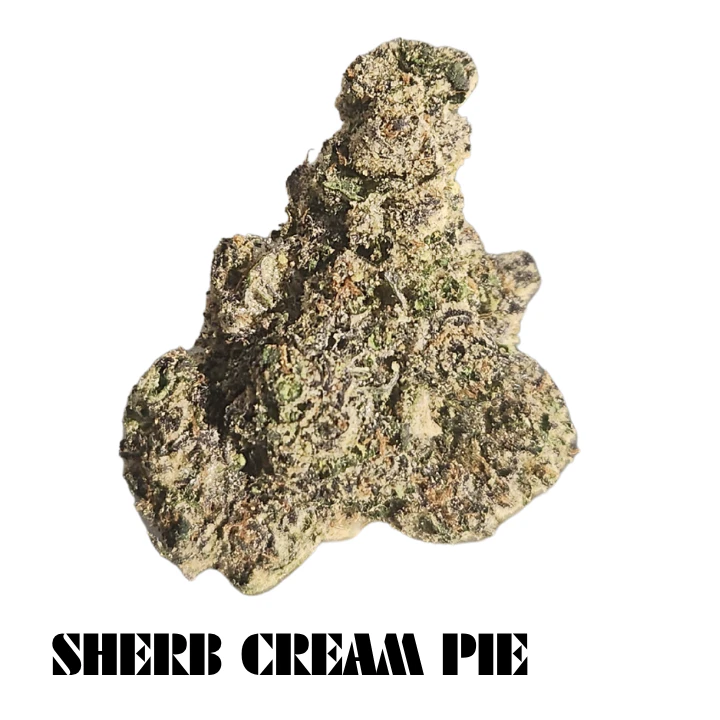 Green Paradise - Green Paradise - Sherb Cream Pie Deli flower Main Image
