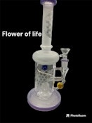 Flower of Life Rig