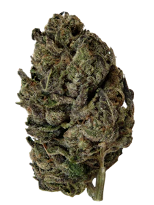 Cali-Blaze - Blackberry Gelato  [ H ] 14 g THC% 32.00