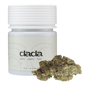 Sweet Cream #5 - Ultra Premium Flower - 3.5g