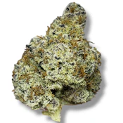 Dantes Inferno | Indica