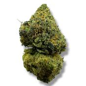 Acapulco Gold | Sativa