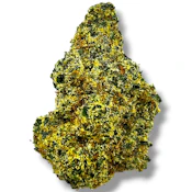 Pistachio | Hybrid