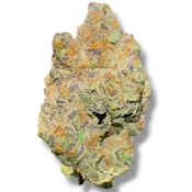 Zacks Cake | Hybrid