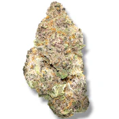 Tropical Summer | Sativa