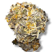 Purple Pebbles | Hybrid