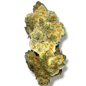 Canal St Runtz | Hybrid