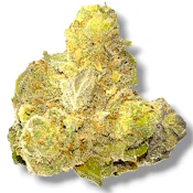 Jokerz Candy 5 | Indica