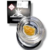 Apples and Bananas x Blue Dream (1G) |Live Resin | Sativa