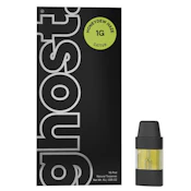 Honeydew Haze (1G) | Pod | Sativa